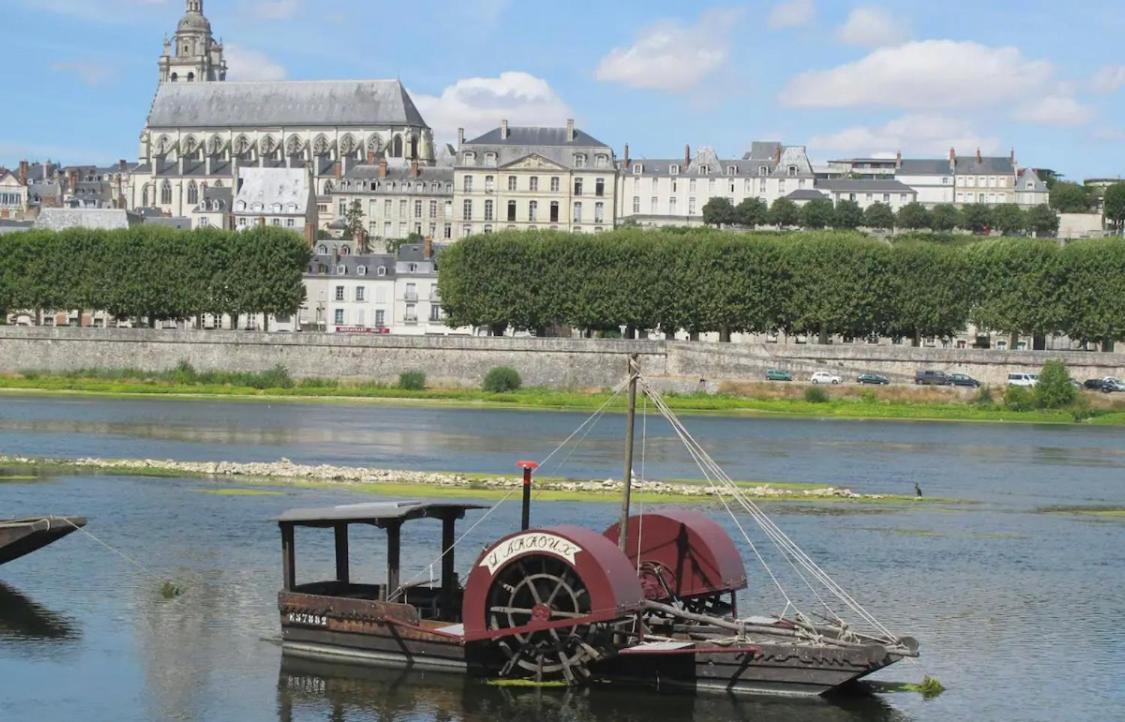 Joli Appart Cour Proche Bord De Loire บลัวส์ ภายนอก รูปภาพ